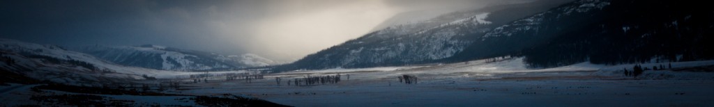 Yellowstone Association Institute Course 2016