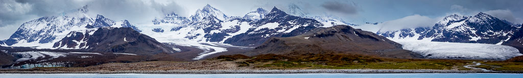 ANTARCTICA, SOUTH GEORGIA, AND THE FALKLANDS