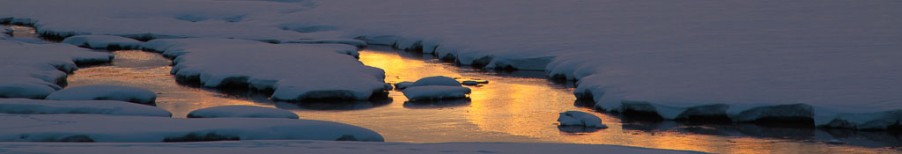 Yellowstone Winter Wonderland 2014
