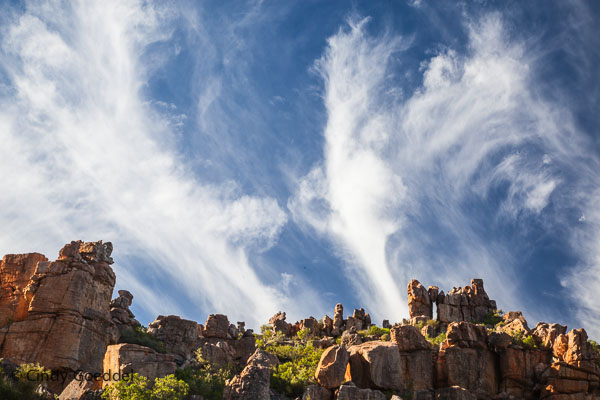 Hoodoos, Vines & Lost Boys