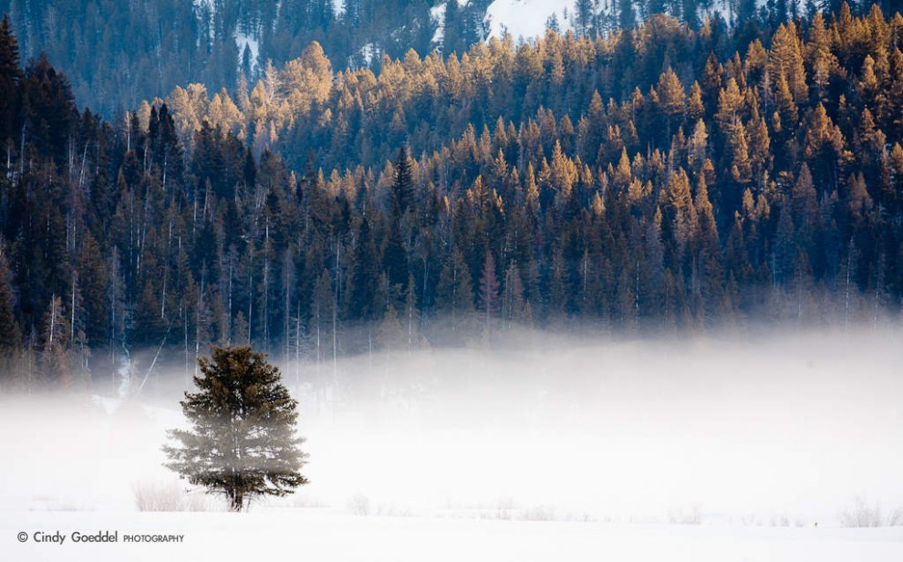 Fog in Round Prairie