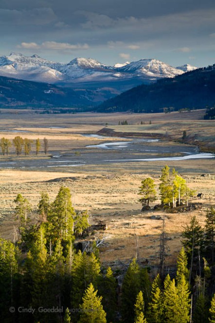 Lamar Valley Sunset