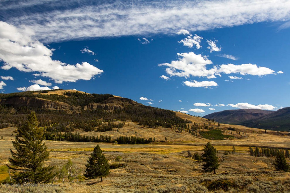 Soda Butte Creek Landscape