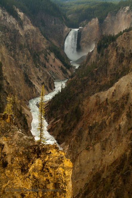 Lower Falls of the Yellowstone RIver