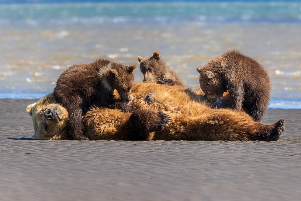 Lunch on the Beach