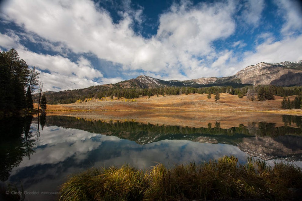 Trout Lake