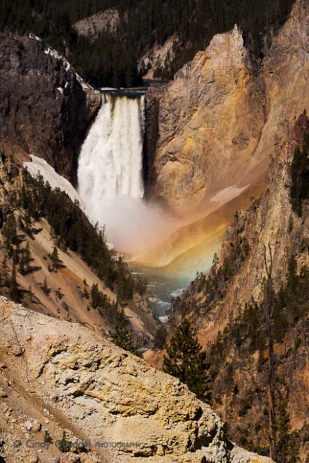 Rainbow at Lower Falls