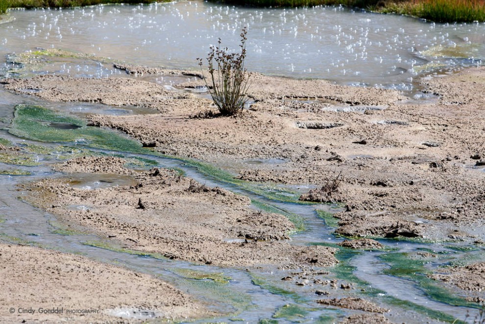 Mud Volcano Run-off
