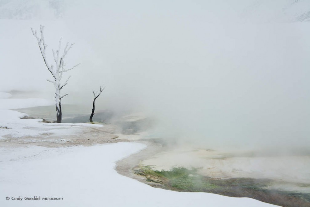 Canary Springs in Winter’s Grip