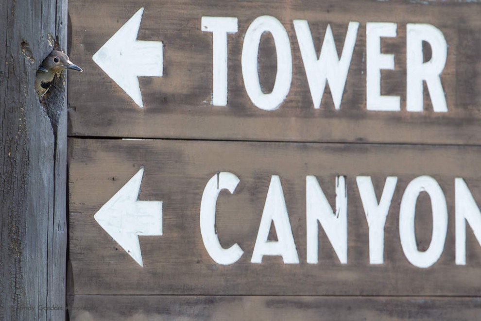 Directions