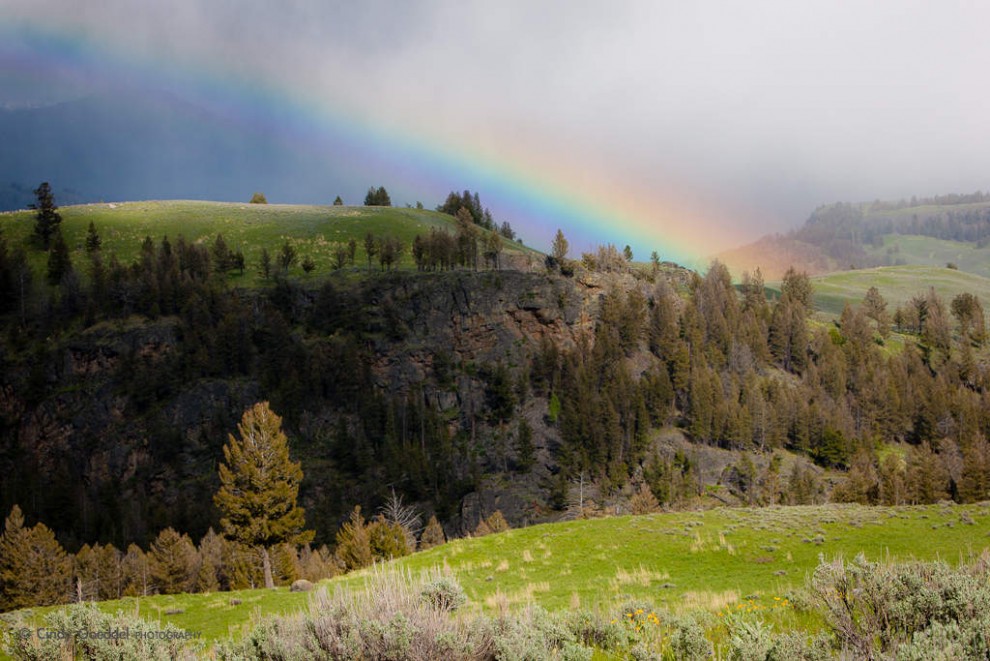 Afternoon Rainbow