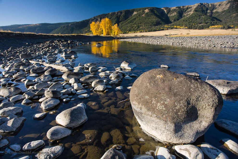 Lamar River Autumn Morning