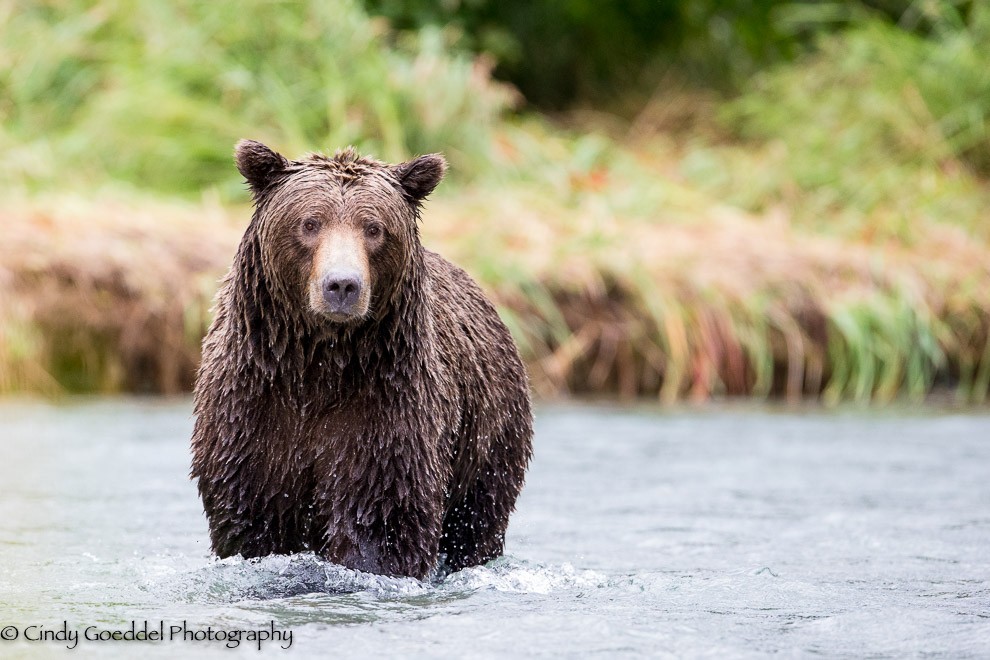 Fishing the midstream