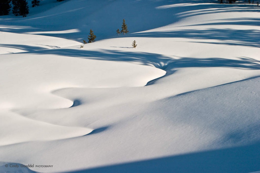 Cascade Meadows