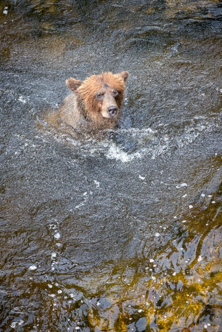 Shaking Water