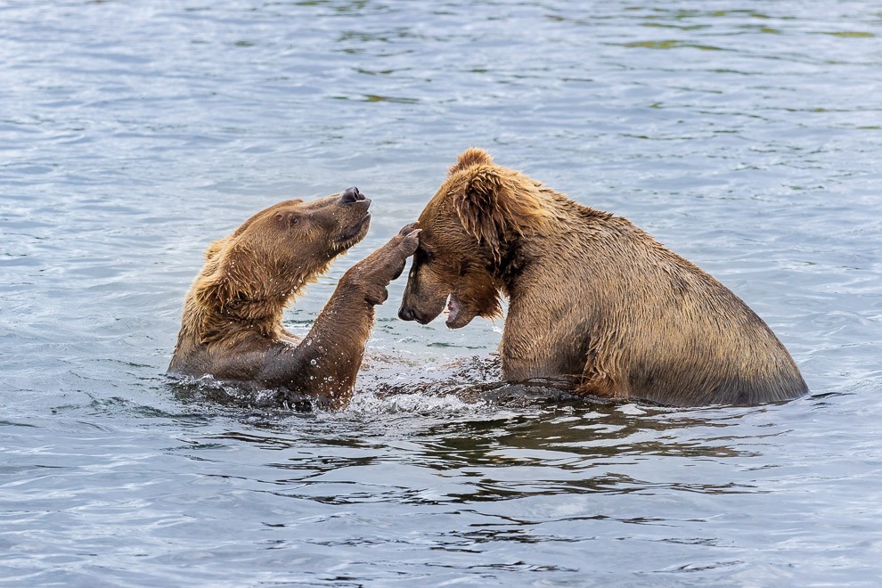 I baptize thee….