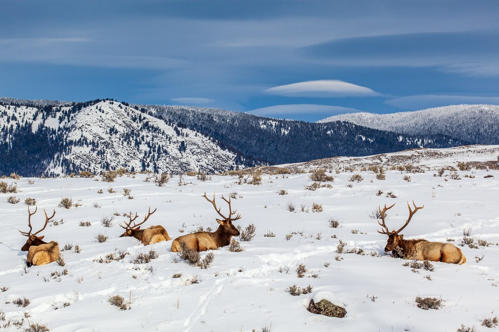 The Boys of Winter