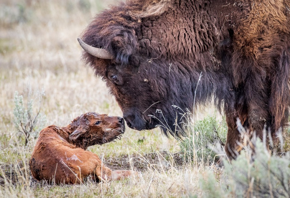 90 Seconds Old