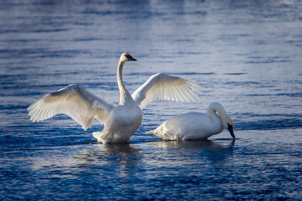 Stretching towards Sunrise