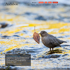 Audubon Homepage