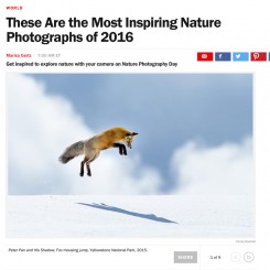 Most Inspiring Nature Photos of 2016