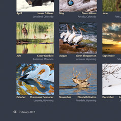 SandhIll Cranes Wyoming Wildlife 2016 Calendar