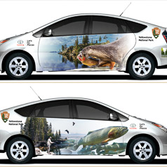 The Trout Prius