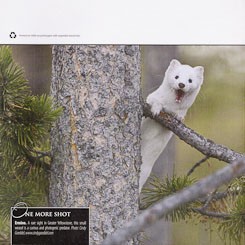 Back Cover: Greater Yellowstone Advocate 2012