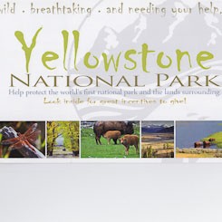 Greater Yellowstone Coalition