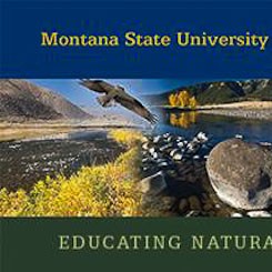 Montana State University