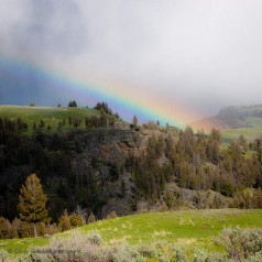 Afternoon Rainbow