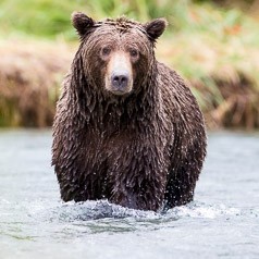 Fishing the midstream