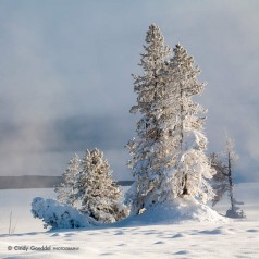 Winter Sunrise at Yellowstone Lake