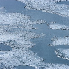 Ice Pane Detail