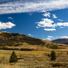 Soda Butte Creek Landscape