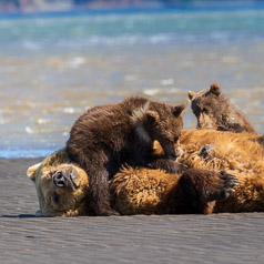 Lunch on the Beach