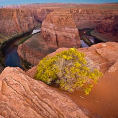 Horseshoe Bend