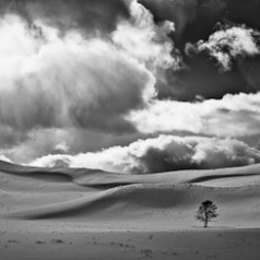 Ice Cream Hills