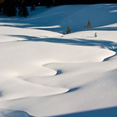 Cascade Meadows