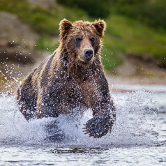 River Sprint