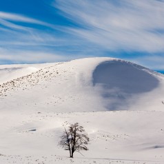 Winter Settles in Hayden Valley