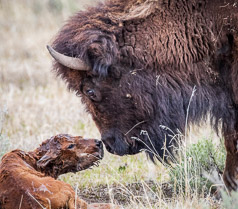 90 Seconds Old