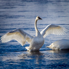 Stretching towards Sunrise